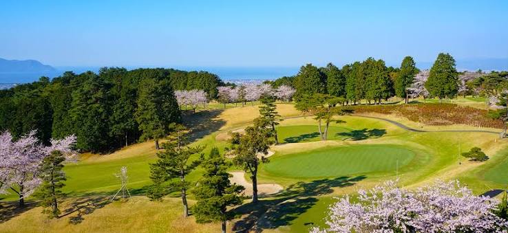 沼津ゴルフクラブ球場景觀