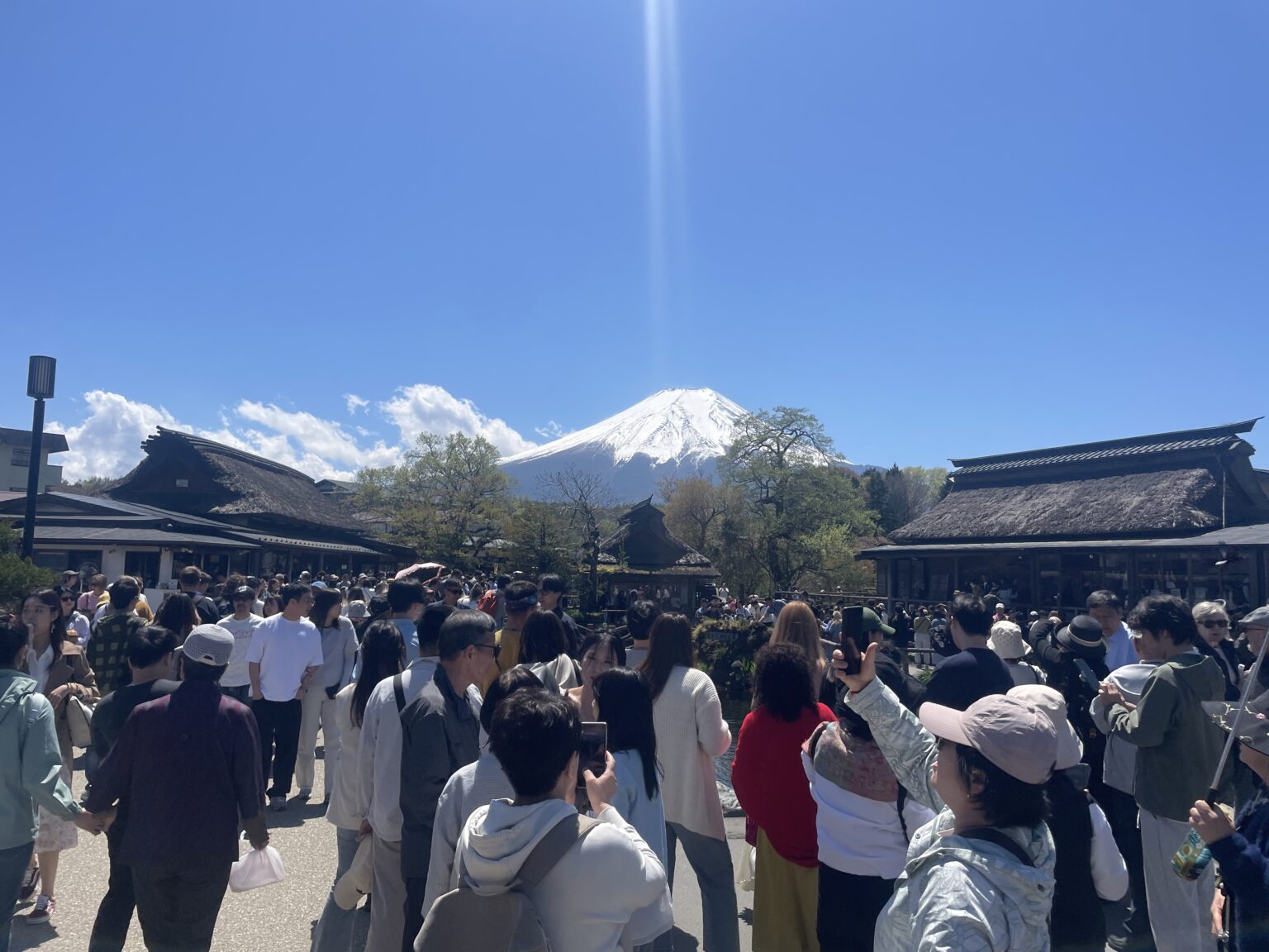 忍野八海