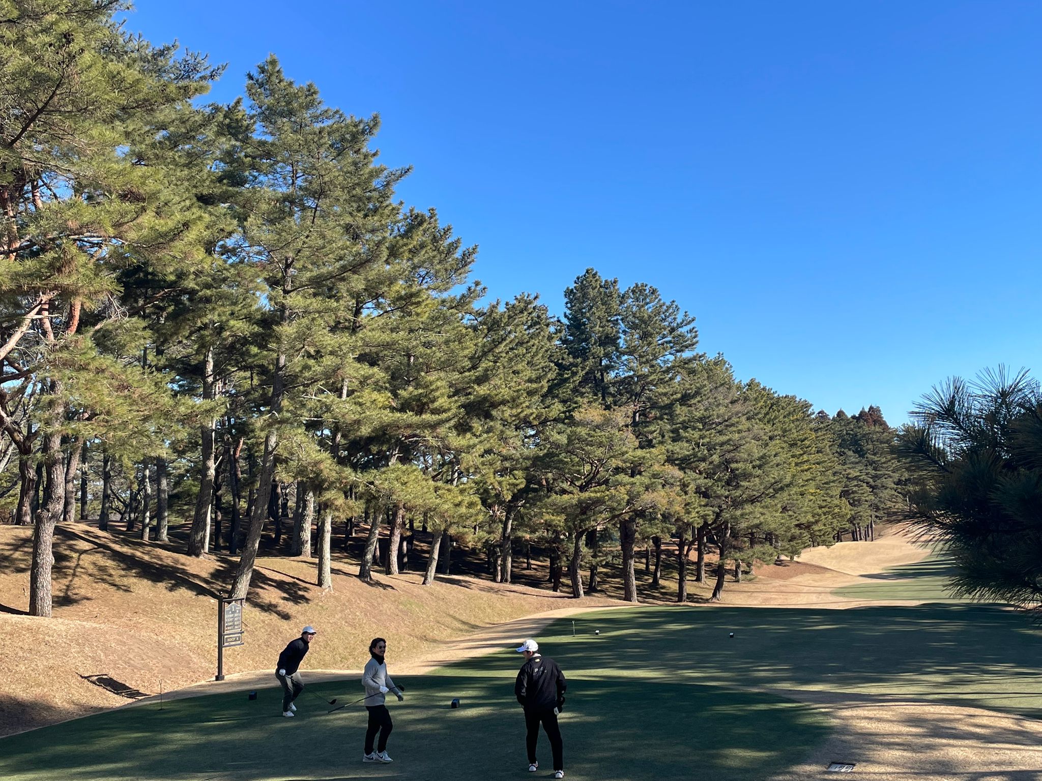 Pine-lined golf course in Japan