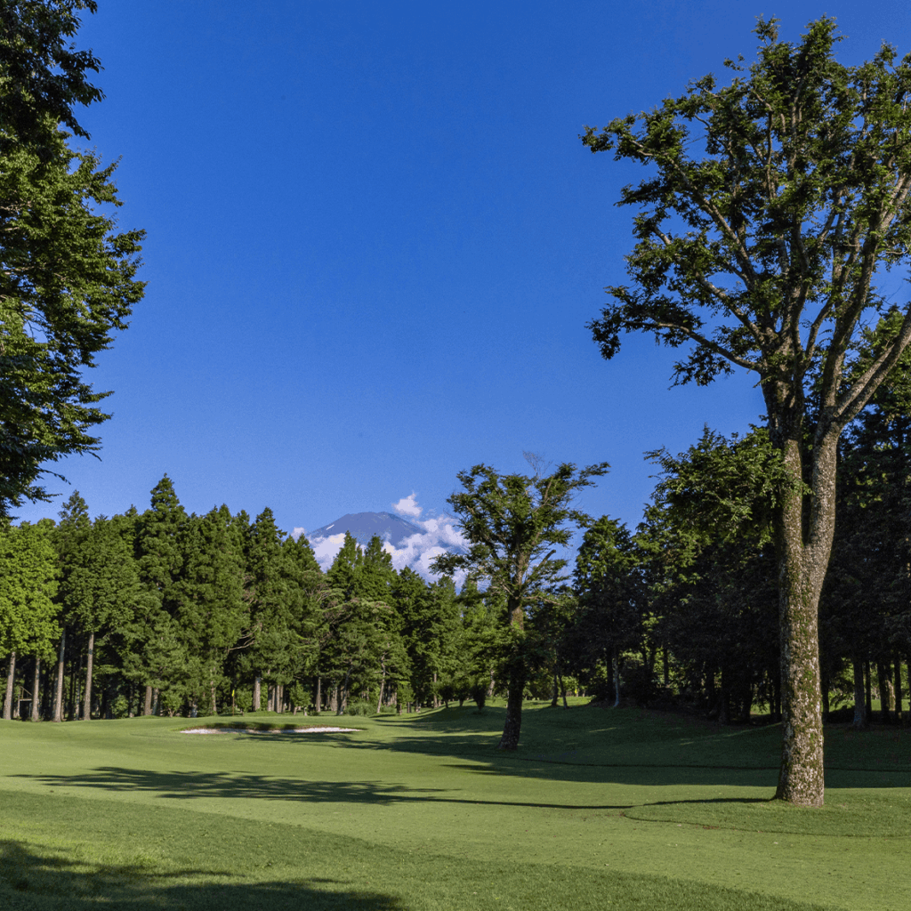 Gotemba Tomei Golf Club tree-lined fairway