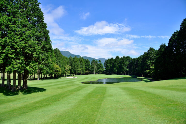 神奈川箱根湖畔高爾夫球場林間球道